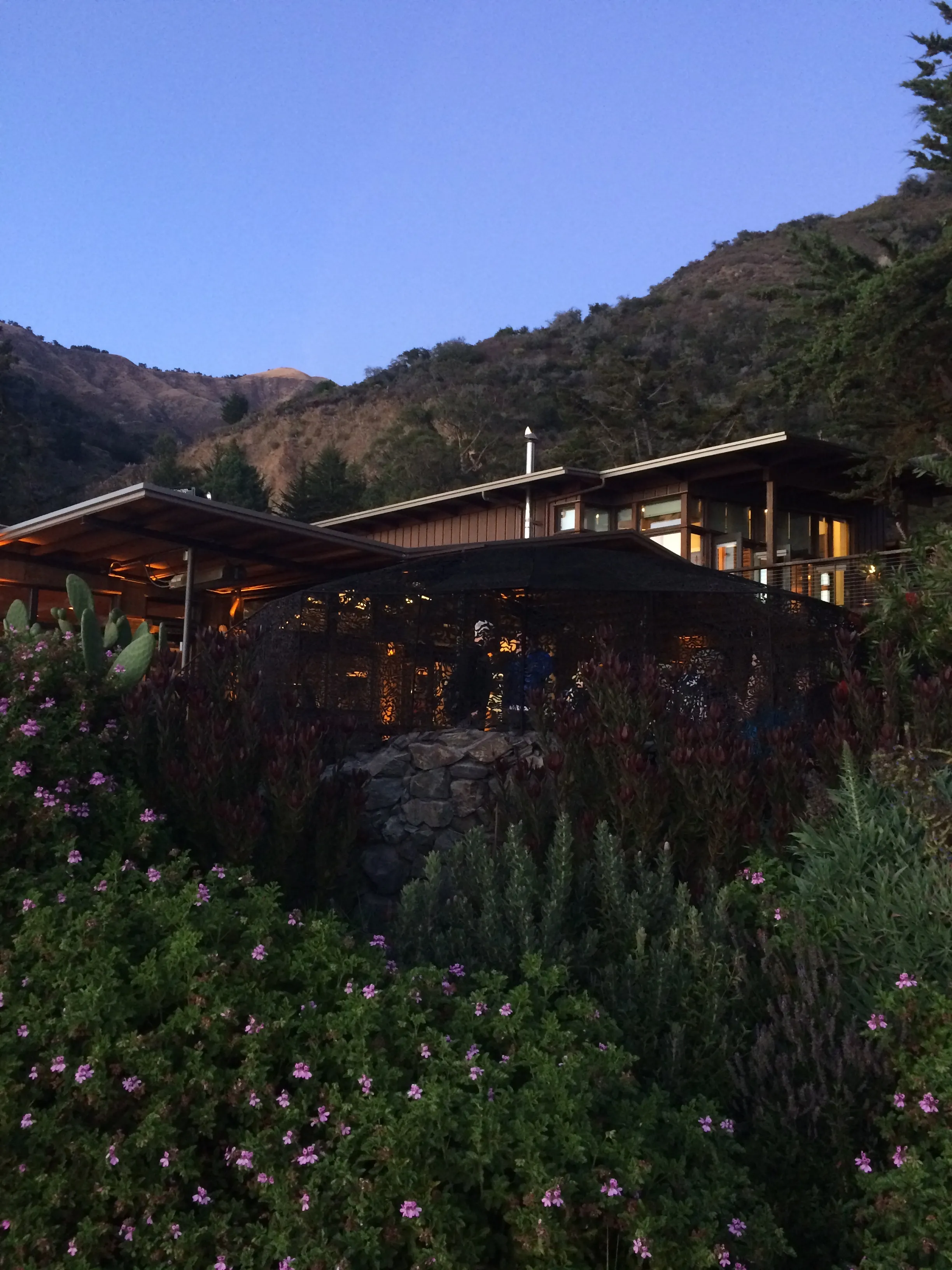 Esalen lodge buildings at dusk, warm light in the windows under low timber roofs, with flowering pelargonium and protea in the foreground and the Santa Lucia hills behind